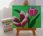 Obrazy na pltn - Tulipny v7cm, 9cm (06.jpg)